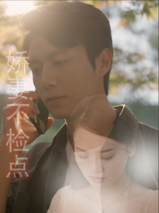 娇妻不检点