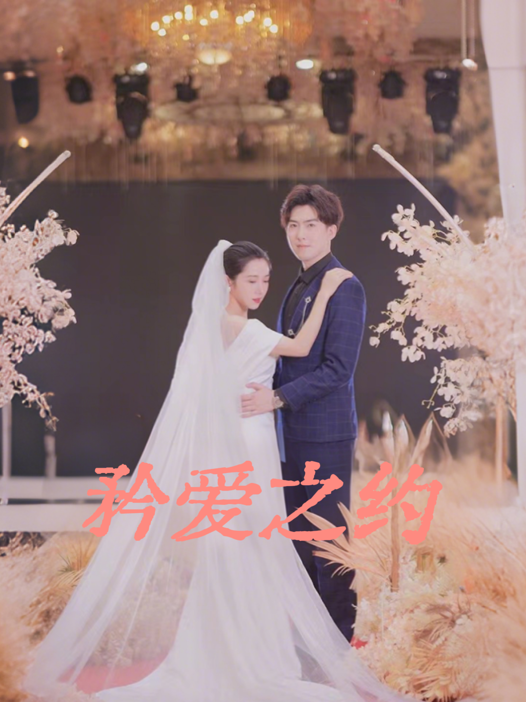 矜爱之约