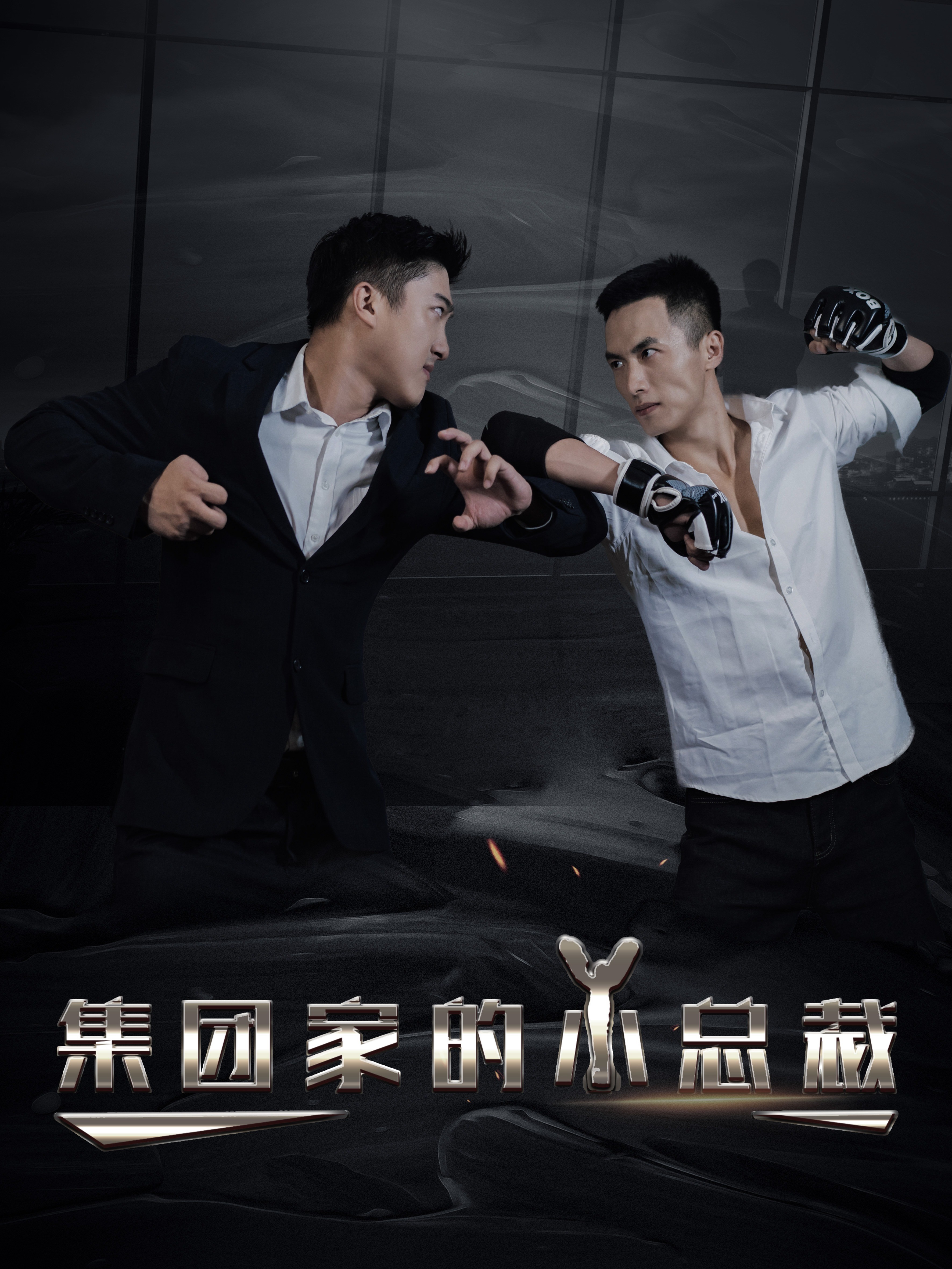 集团家的小总裁