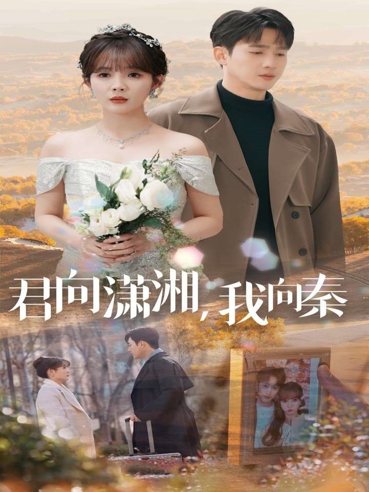 君向潇湘，我向秦