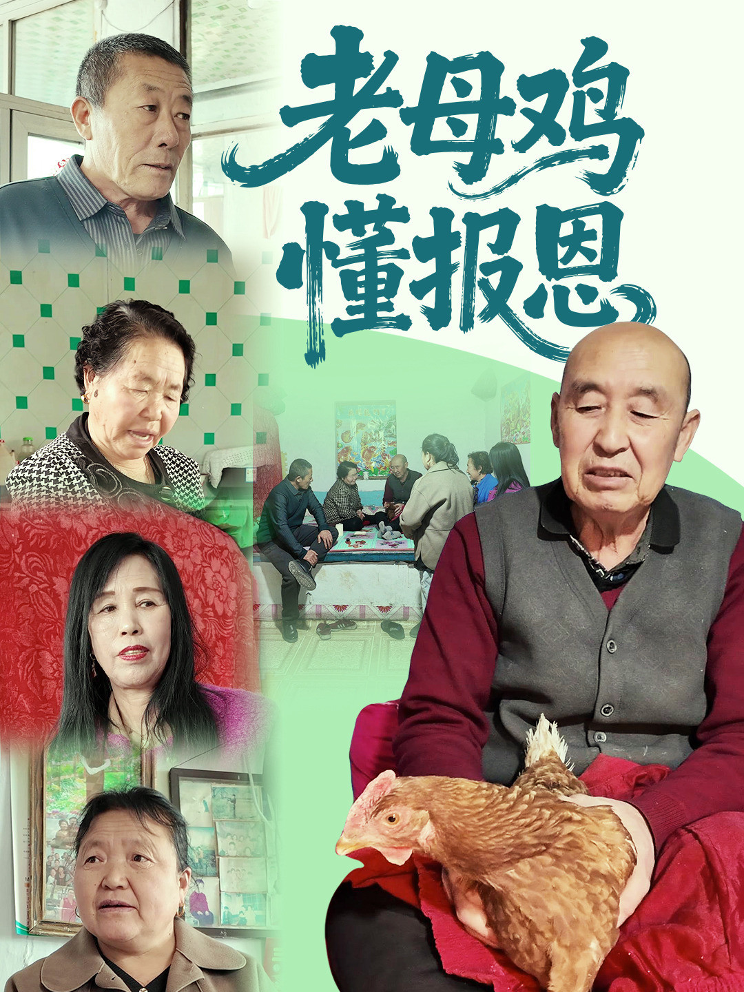 老母鸡懂报恩