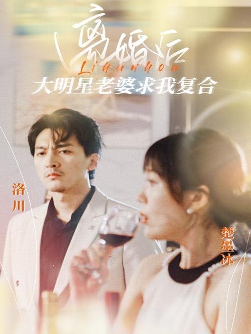 离婚后，大明星老婆求我复合
