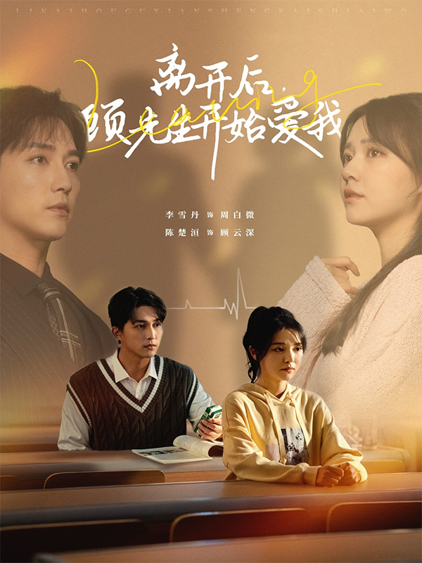 离开后，顾先生开始爱我