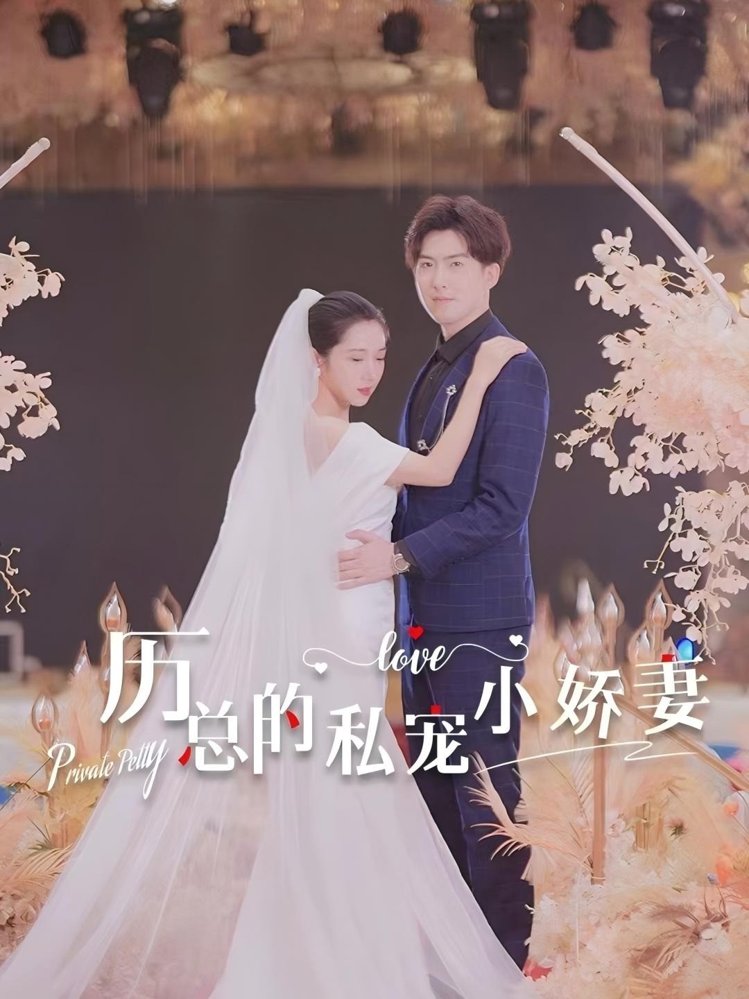 厉总的私宠小娇妻