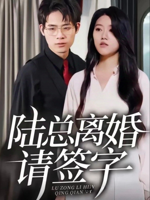 陆总离婚请签字