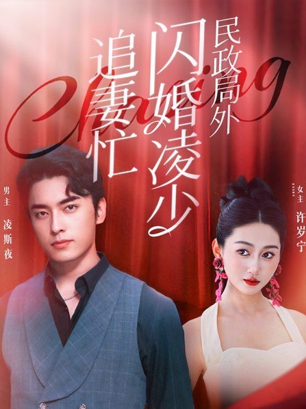 民政局外闪婚凌少追妻忙