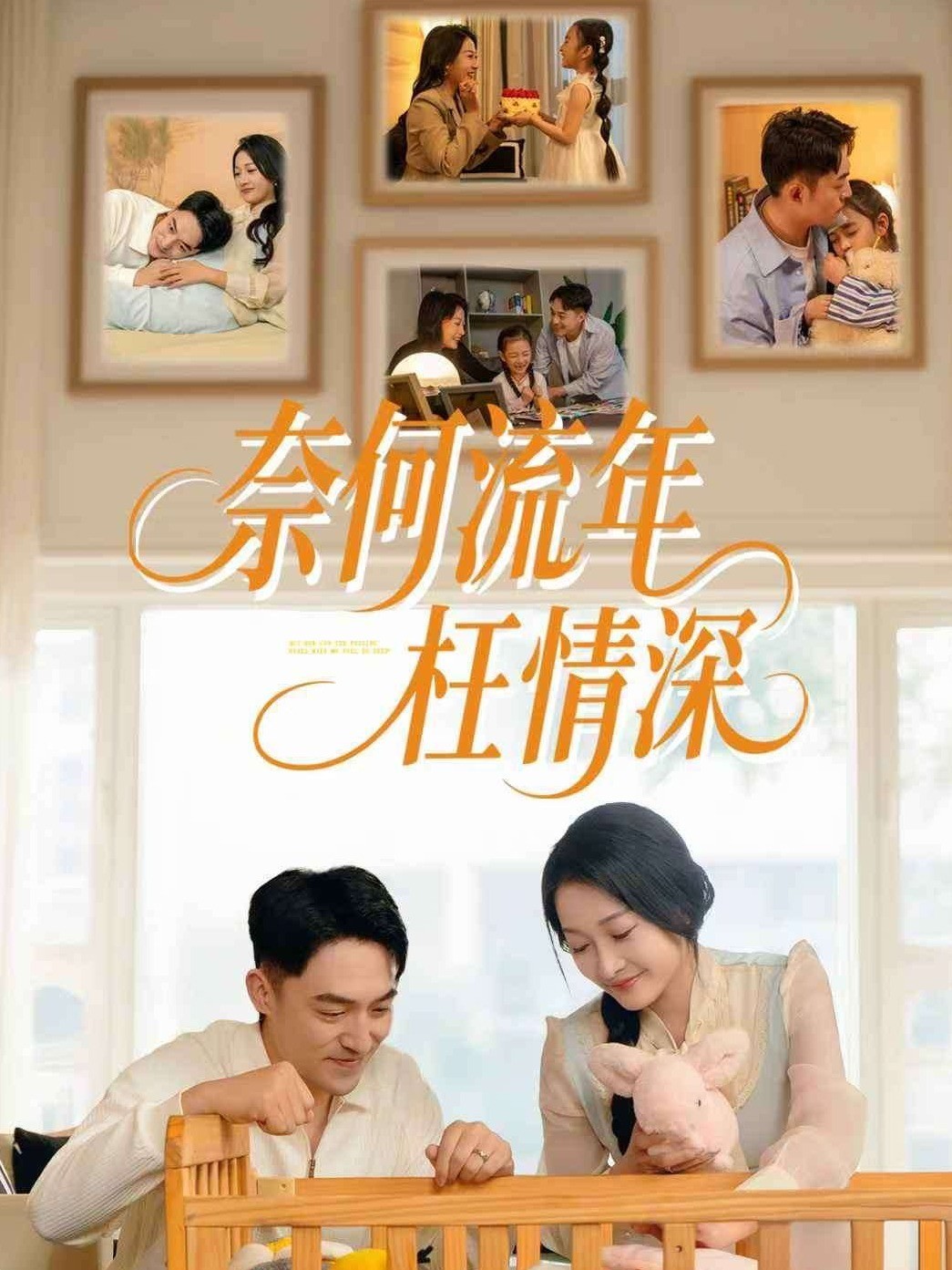 奈何流年枉情深