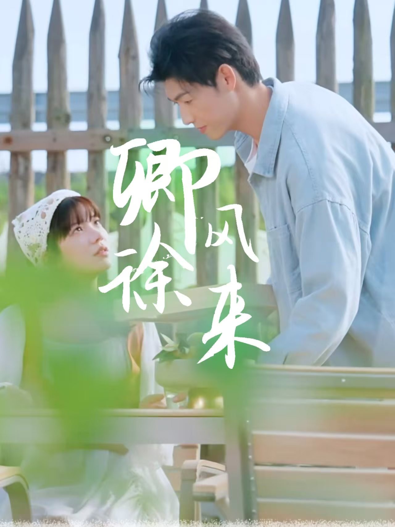 卿风徐来