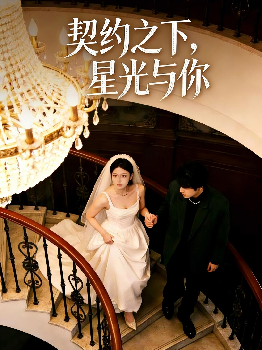 契约之下，星光与你