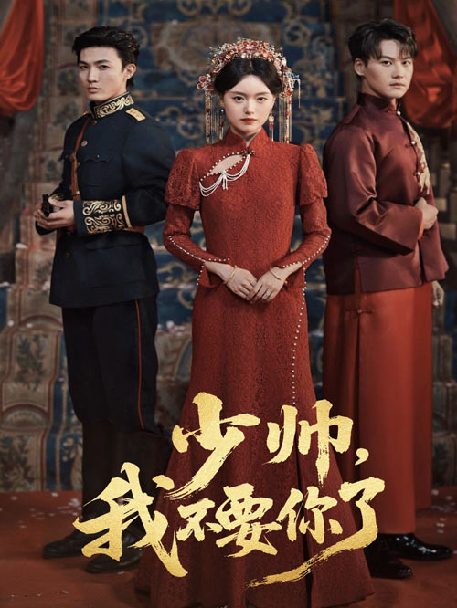 少帅，我不要你了