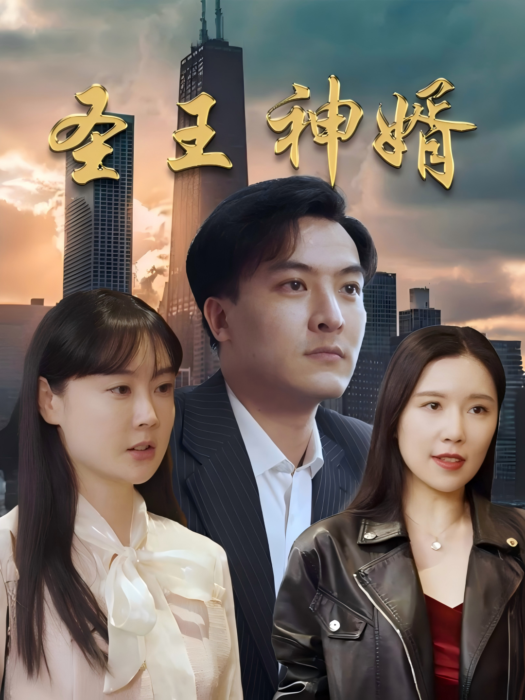 圣王神婿