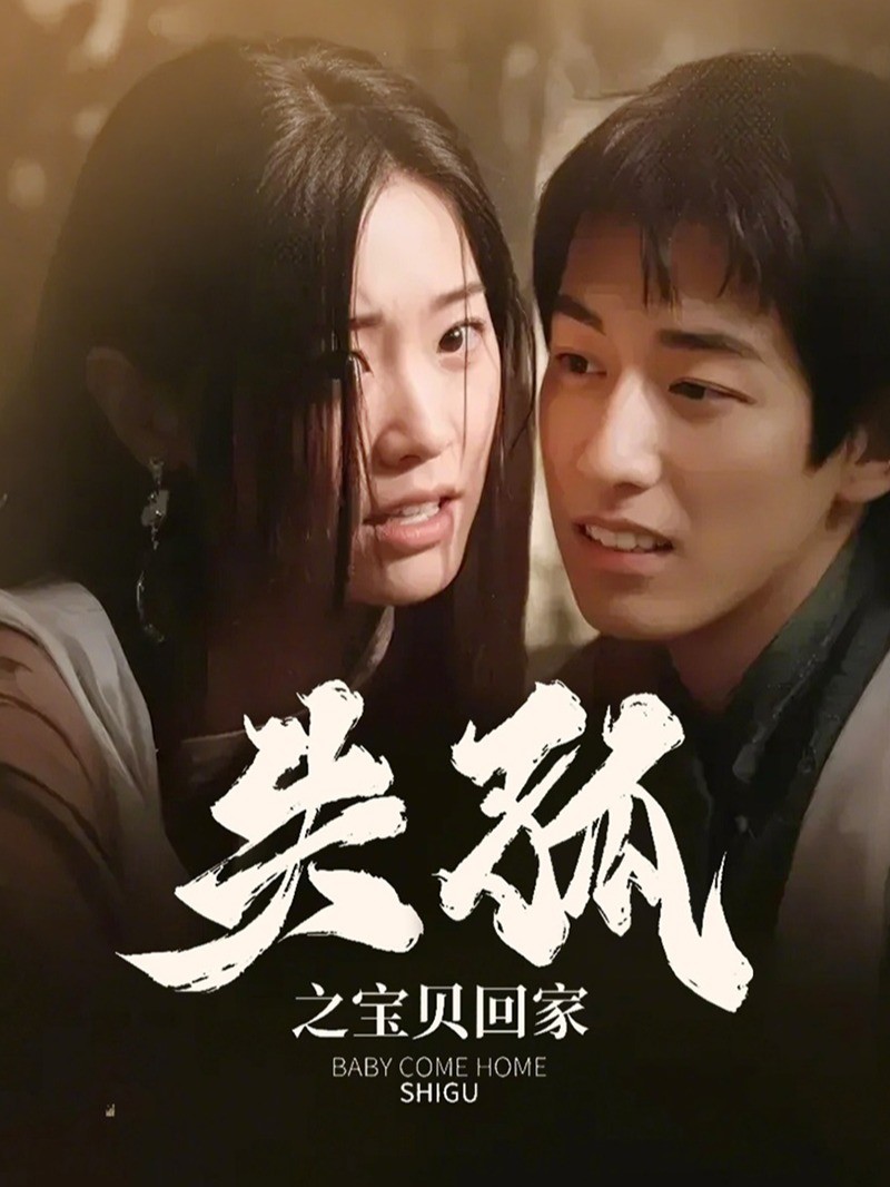 失孤之宝贝回家