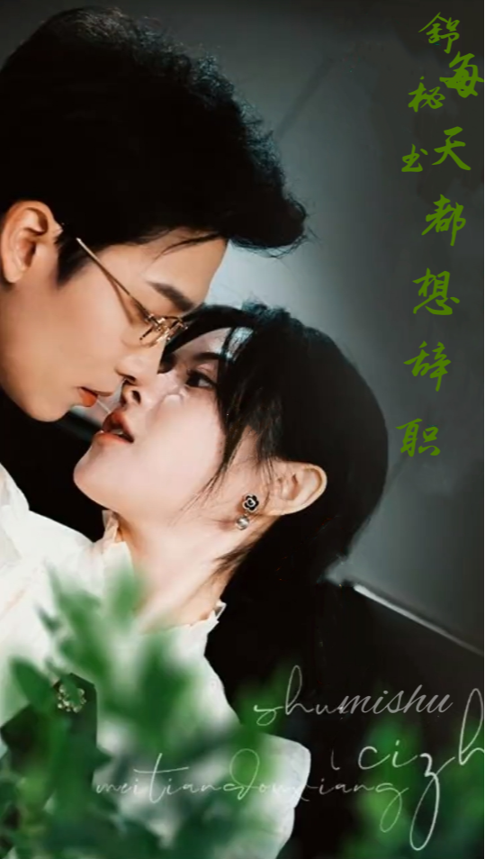 舒秘书每天都想辞职