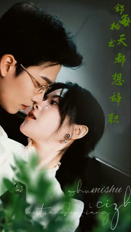 舒秘书每天都想辞职