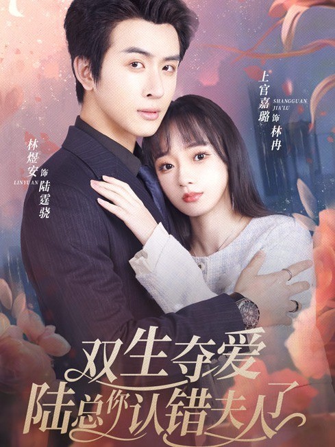 双生夺爱陆总你认错夫人了