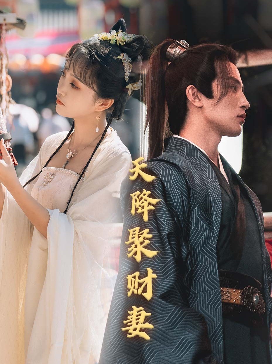 天降守财妻