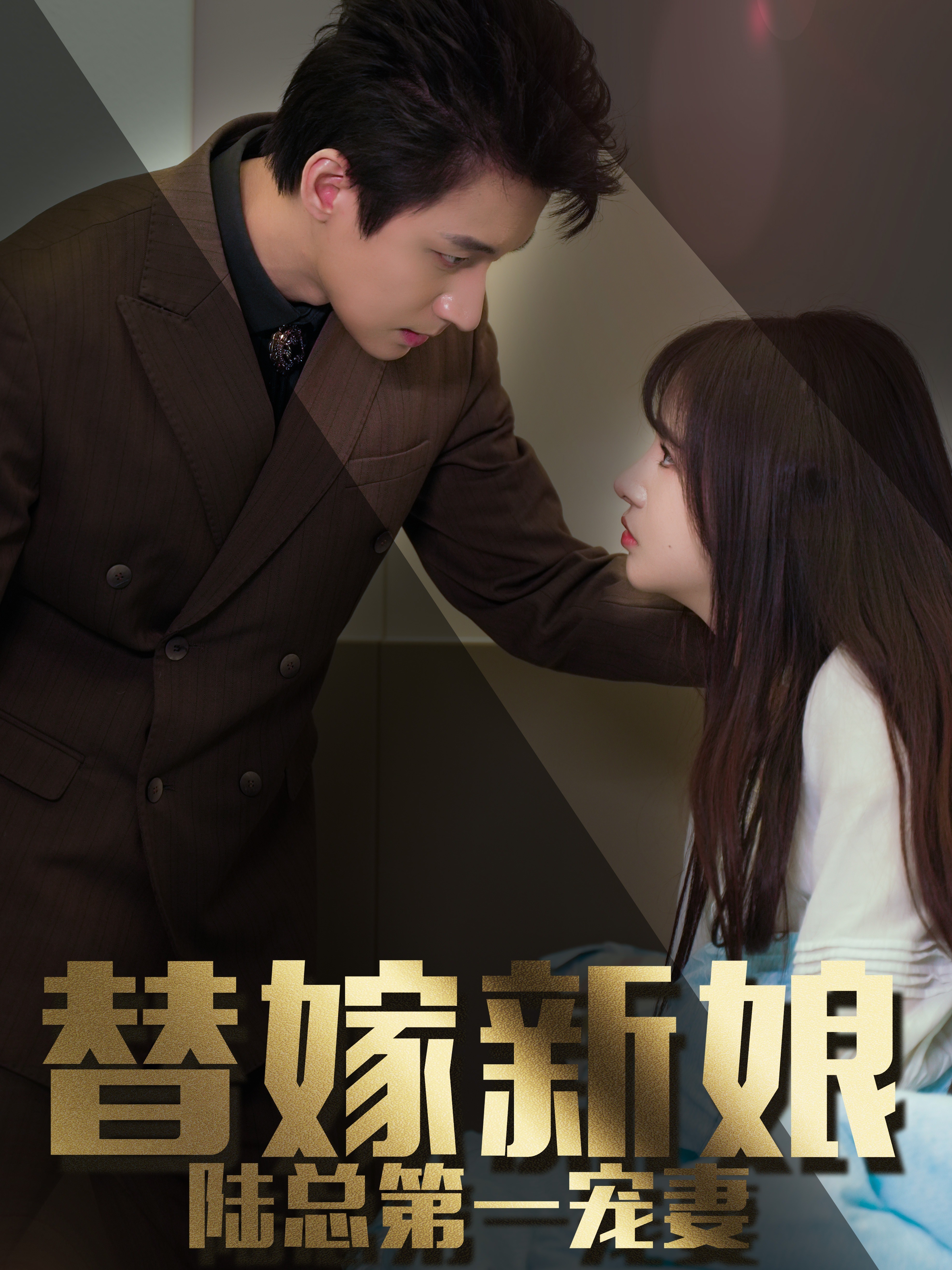 替嫁新娘：陆总的第一宠妻
