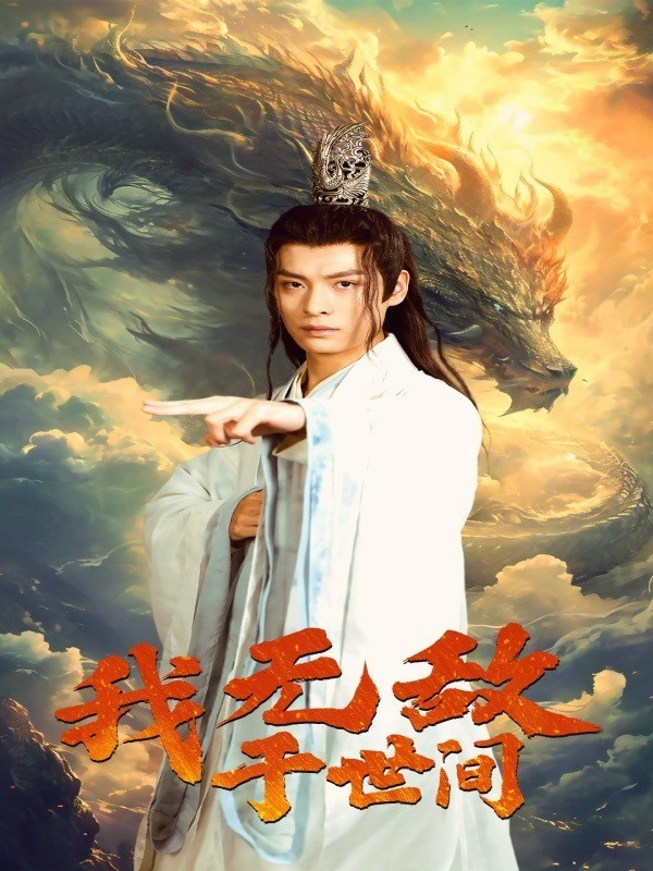 我无敌于世间