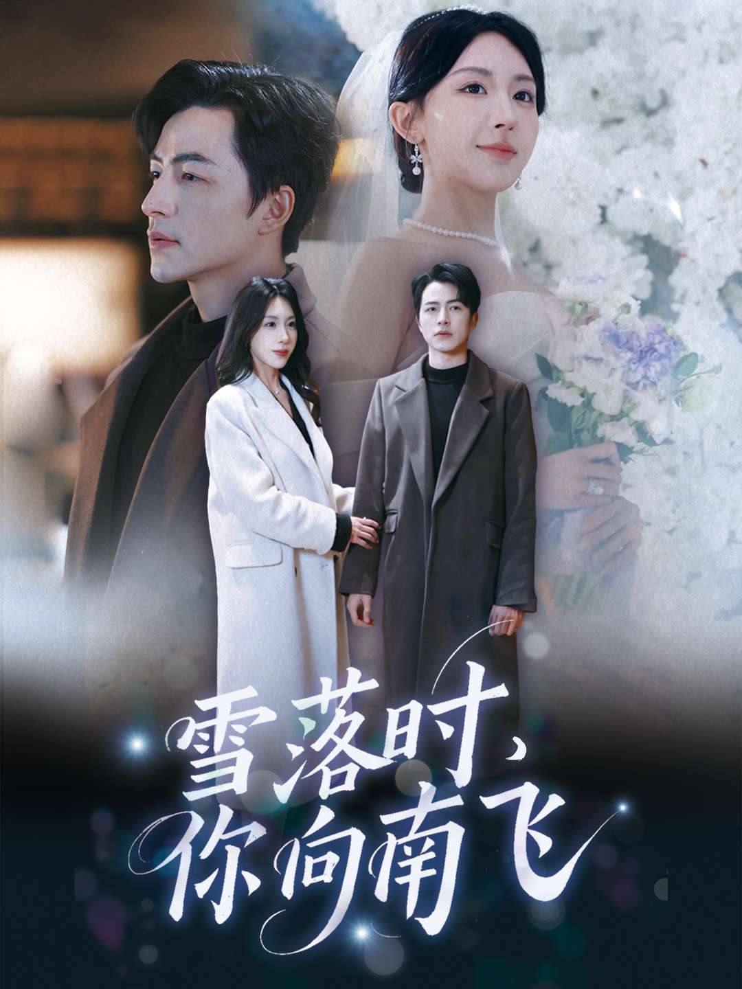 雪落时，你向南飞