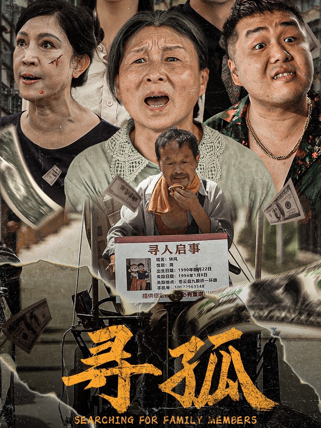 寻孤