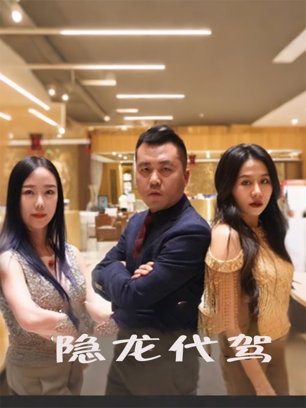 隐龙代驾