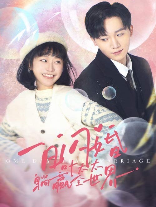 一日闪婚，叶太太躺赢全世界