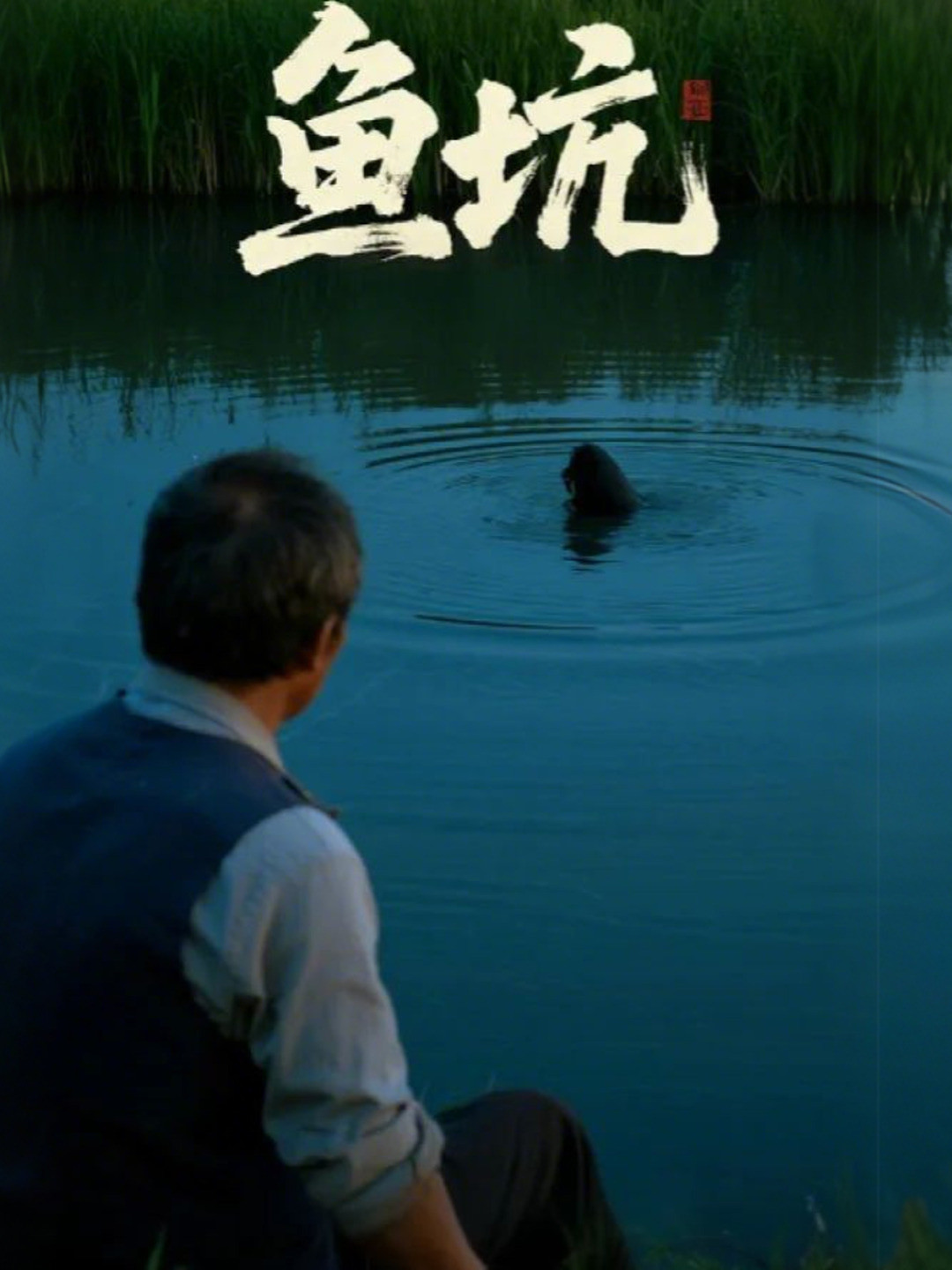 鱼坑
