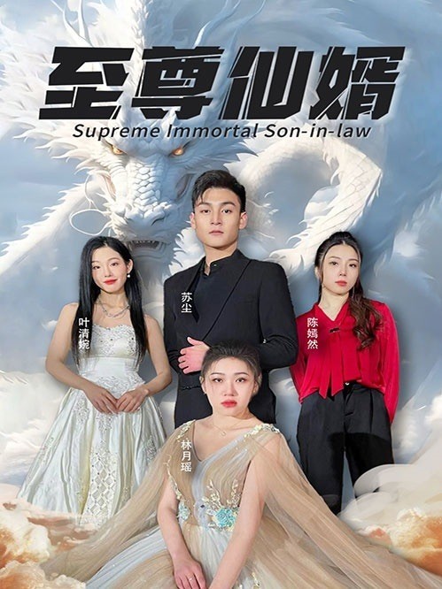 至尊仙婿