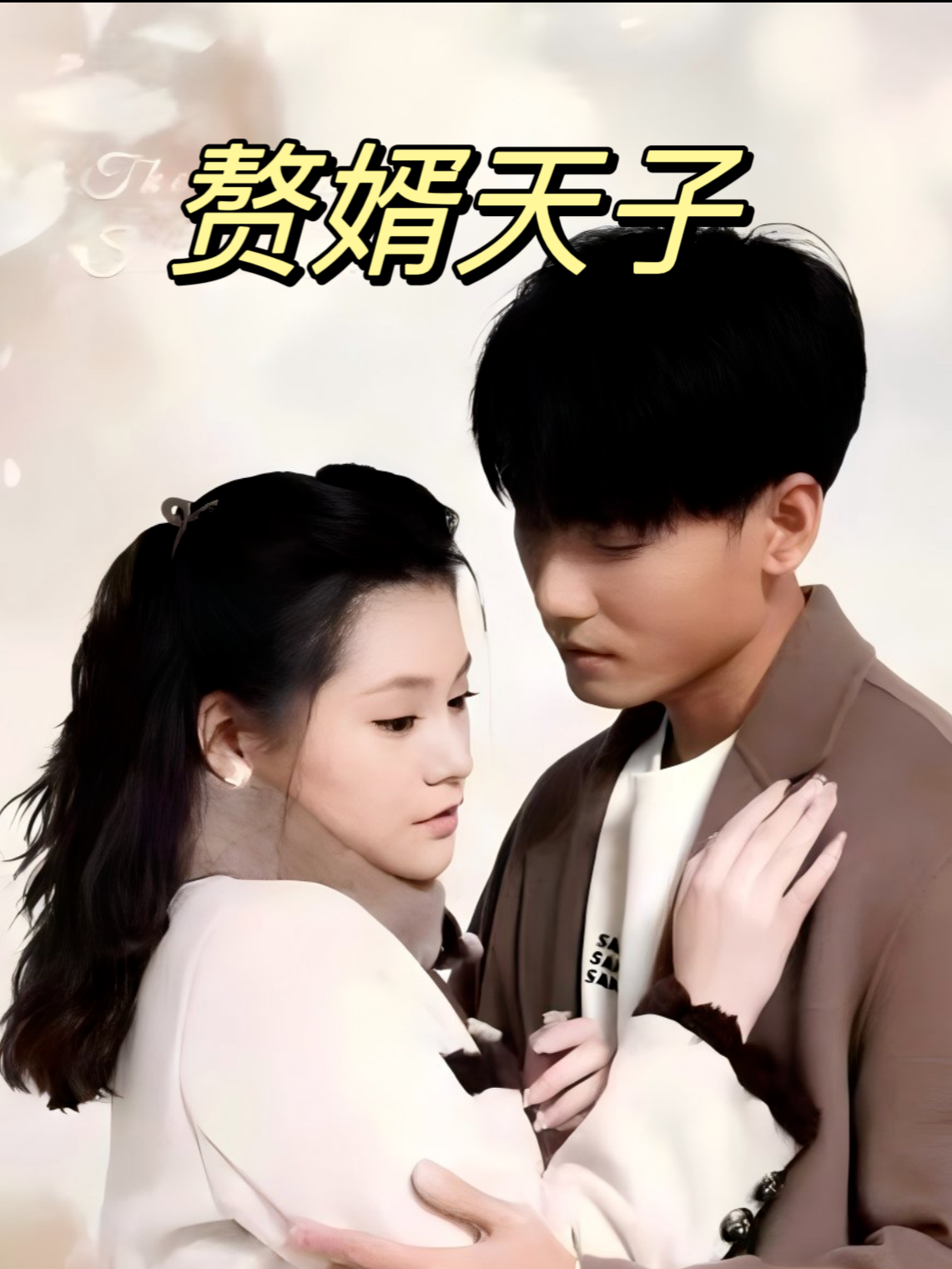 赘婿天子