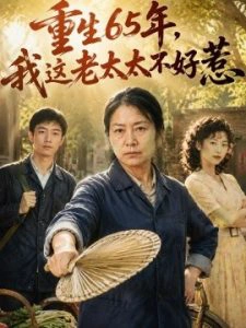 重生65年，我这老太太不好惹