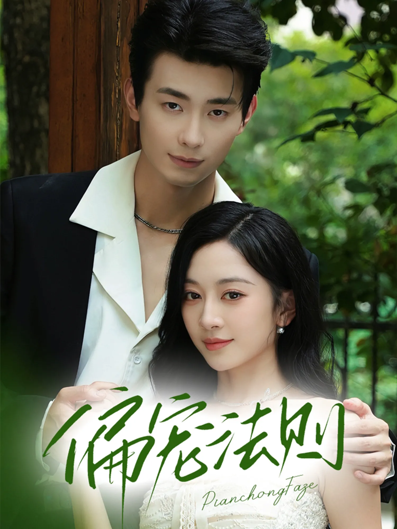 偏宠法则（卢奥迪）