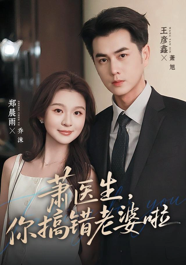 萧医生，你搞错老婆啦（1080P）