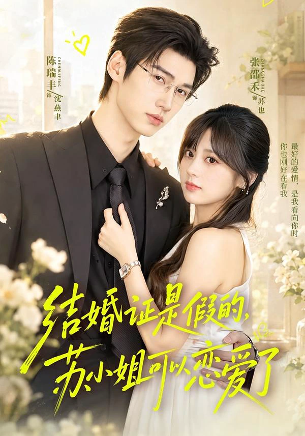 结婚证是假的，苏小姐可以恋爱了（1080P）