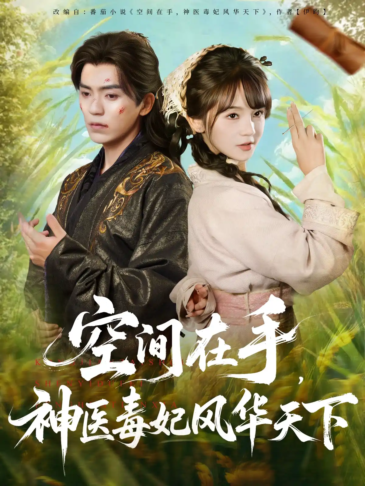 空间在手，神医毒妃风华天下（万喜）