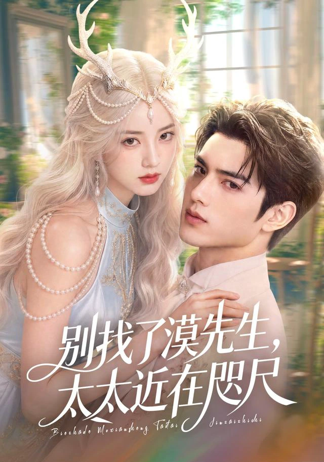 别找了漠先生，太太近在咫尺