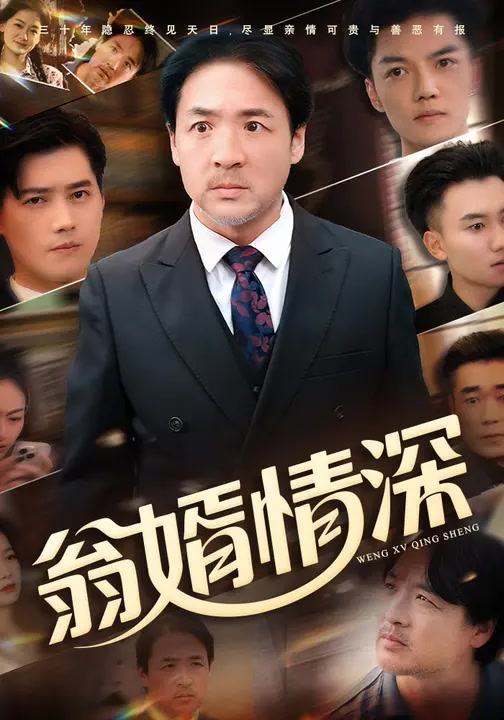 翁婿情深