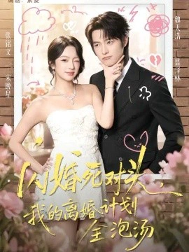 闪婚死对头，我的离婚计划全泡汤