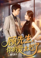 顾先生，你的爱太迟了&顾先生你的爱太迟了