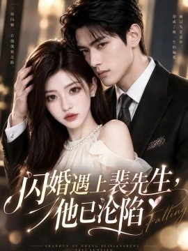 闪婚遇上裴先生，他已沦陷