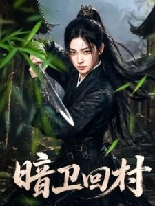 暗卫回村