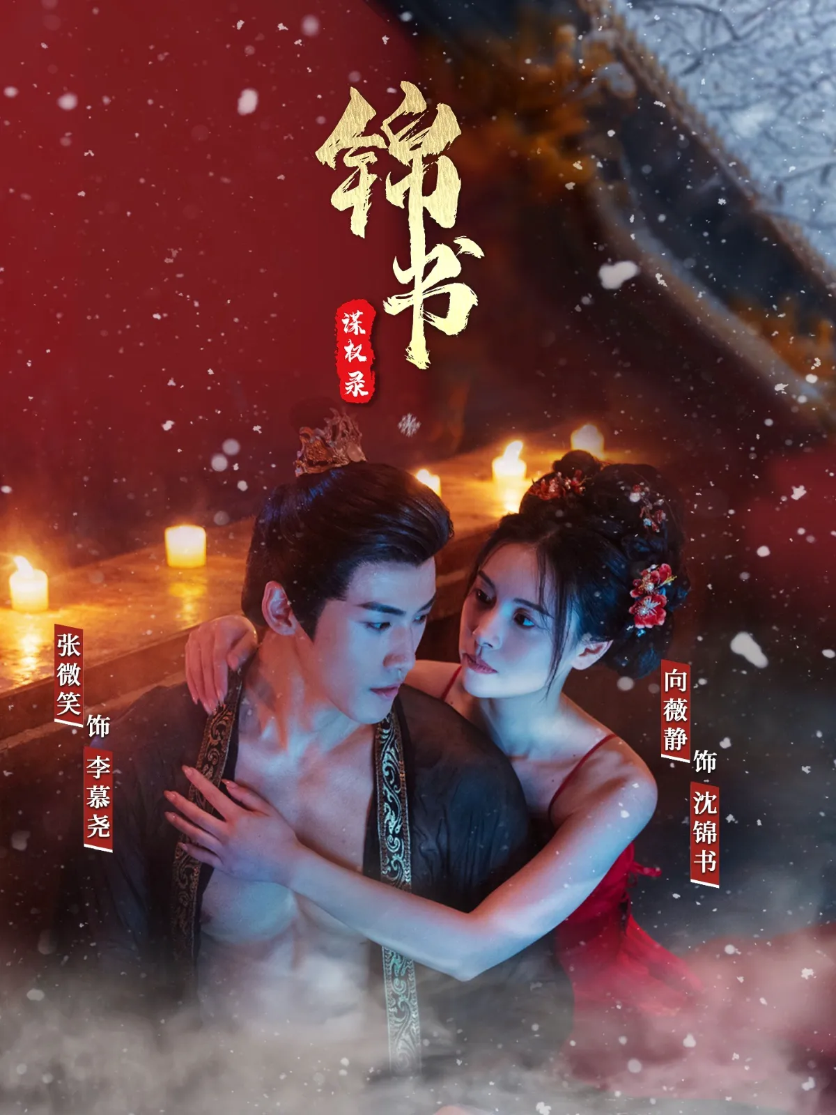 锦书谋权录
