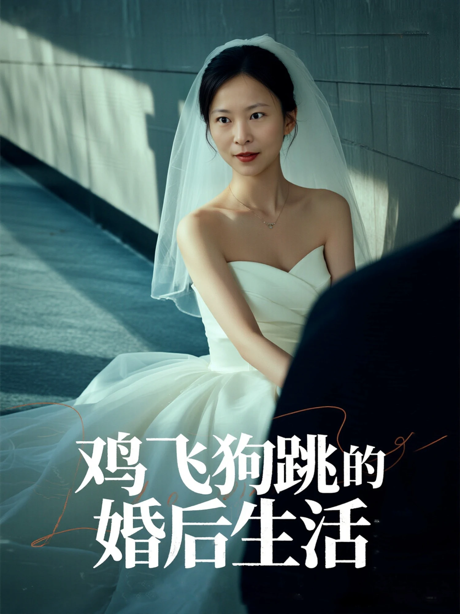 鸡飞狗跳的婚后生活