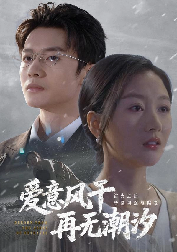 爱意风干再无潮汐