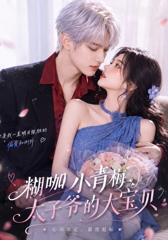 糊咖小青梅，太子爷的大宝贝