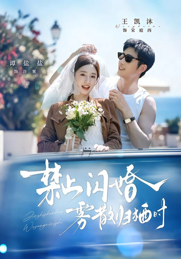禁止闪婚，雾散归栖时（1080P）