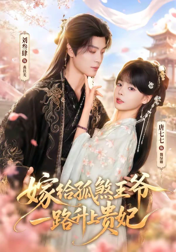 嫁给孤煞王爷一路升上贵妃（1080P）