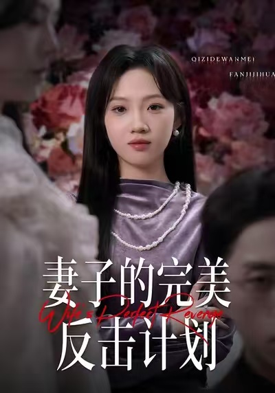 妻子的完美反击计划