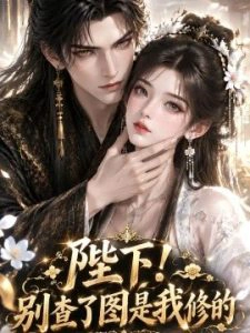 陛下！别查了图是我修的