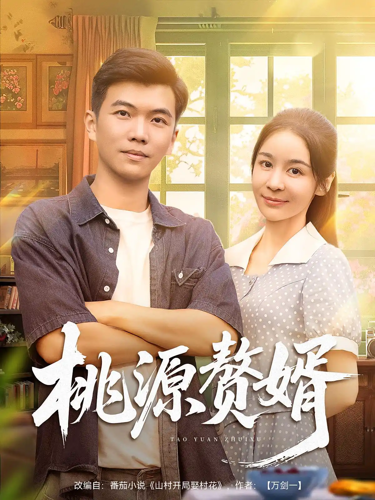 桃源赘婿
