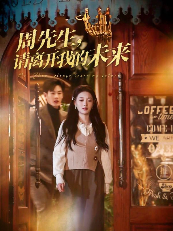 周先生请离开我的未来